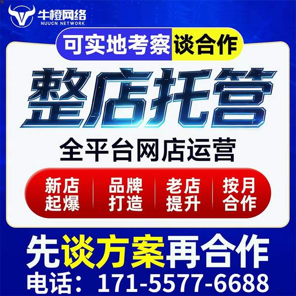 赣州电商代运营